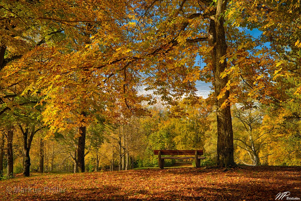 2013.10.19 110327 Herbst Park in Füssen 2000